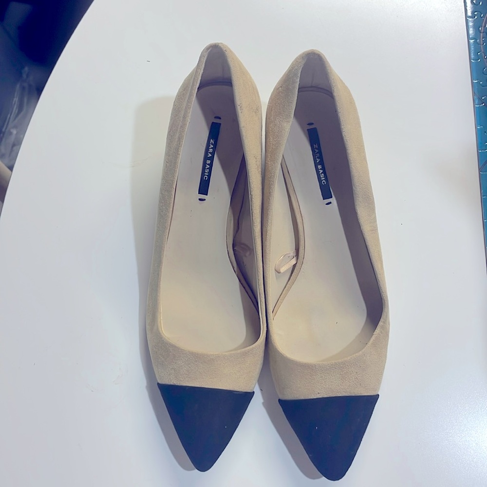 Zara Pointed Heel